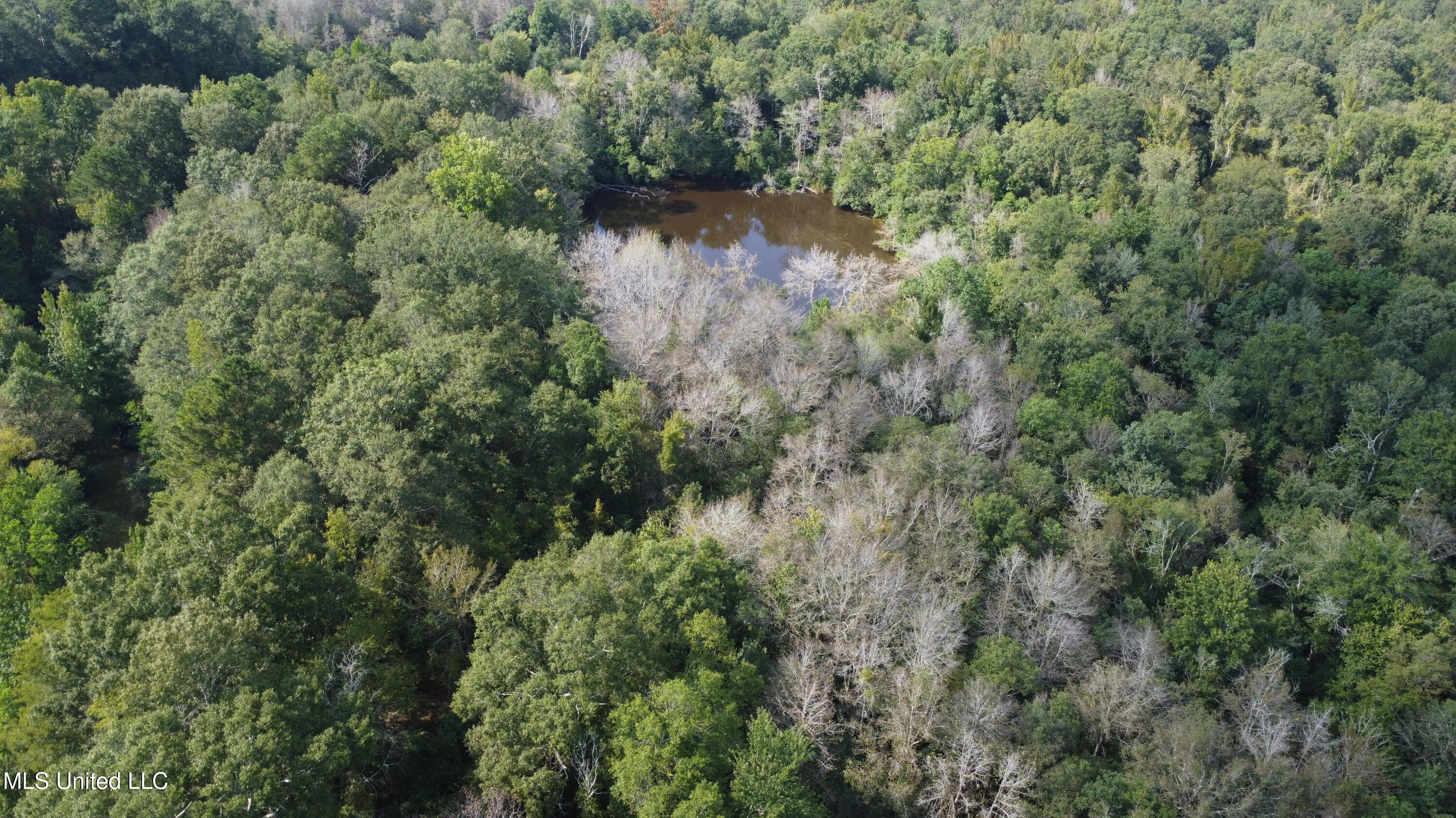 Ms-35 Mount Olive, MS 39119 - Photo 58 of 81 DJI_0509