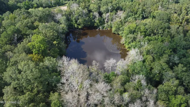 $380,000 | Ms-35, Mount Olive, MS 39119