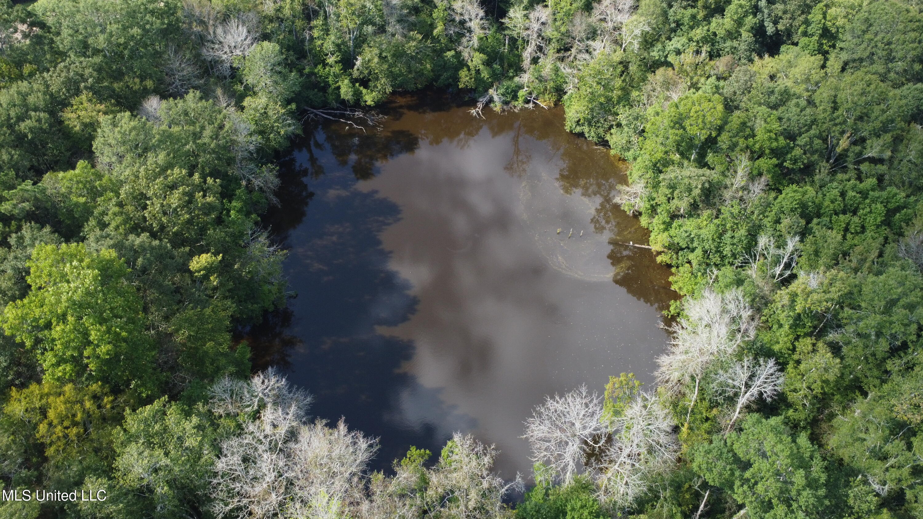 Ms-35 Mount Olive, MS 39119 - Photo 60 of 81 DJI_0511
