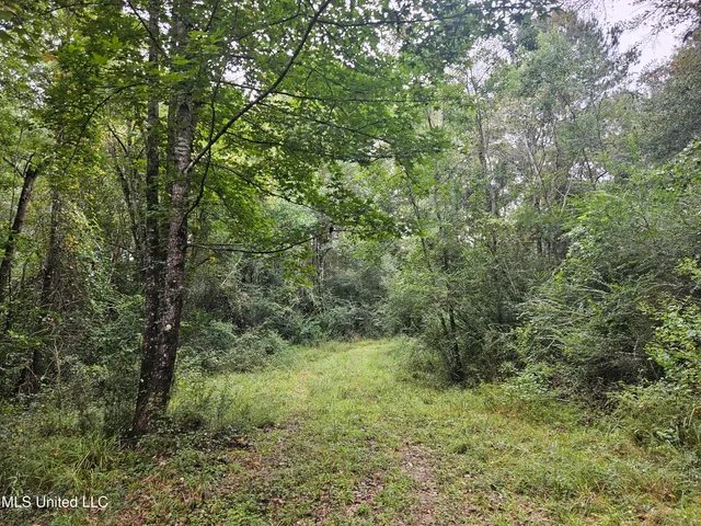 $380,000 | Ms-35, Mount Olive, MS 39119