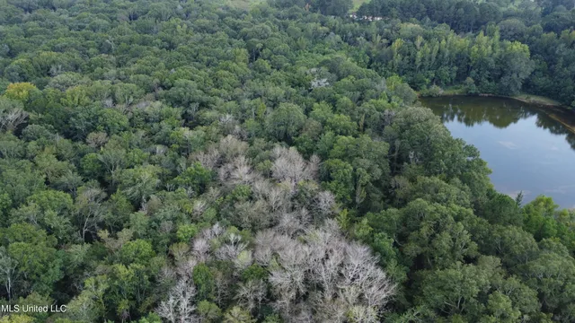 $380,000 | Ms-35, Mount Olive, MS 39119