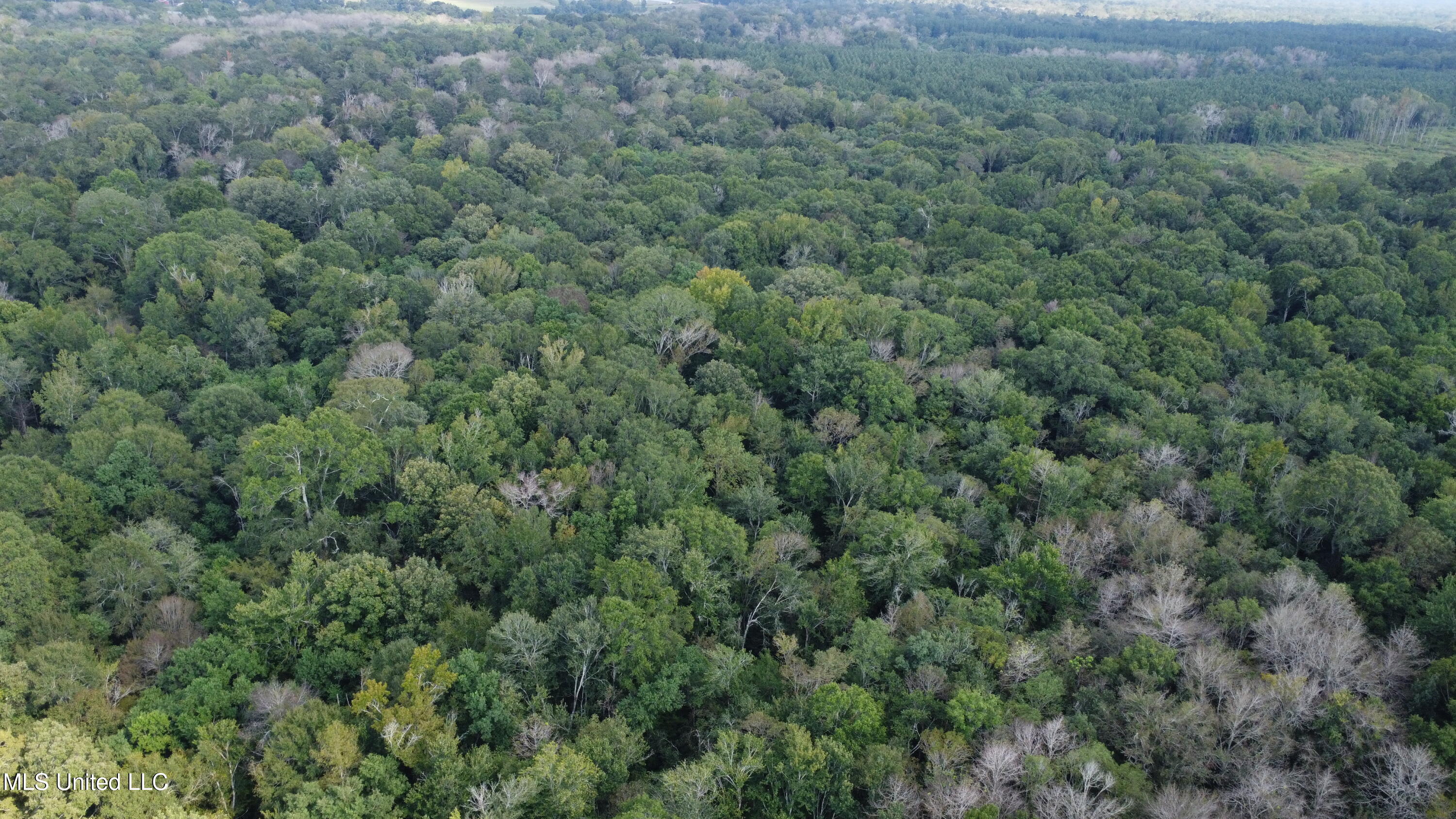 Ms-35 Mount Olive, MS 39119 - Photo 62 of 81 DJI_0513