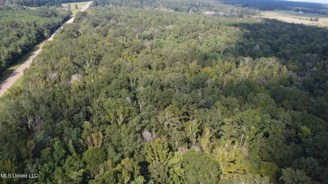 $380,000 | Ms-35, Mount Olive, MS 39119