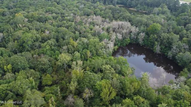 $380,000 | Ms-35, Mount Olive, MS 39119