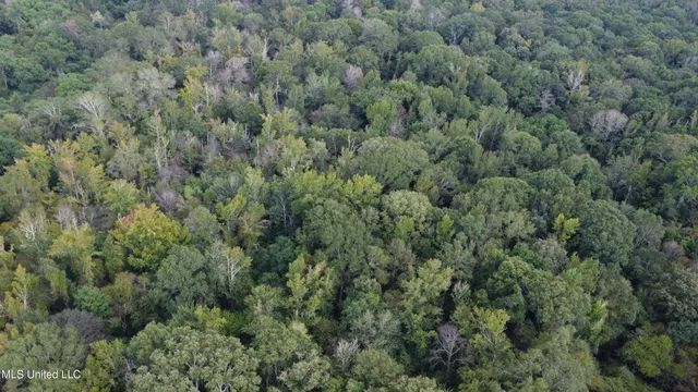 $380,000 | Ms-35, Mount Olive, MS 39119