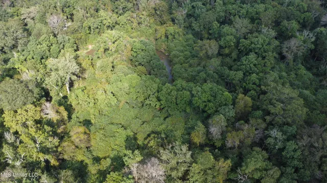 $380,000 | Ms-35, Mount Olive, MS 39119