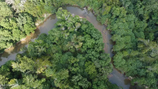 $380,000 | Ms-35, Mount Olive, MS 39119