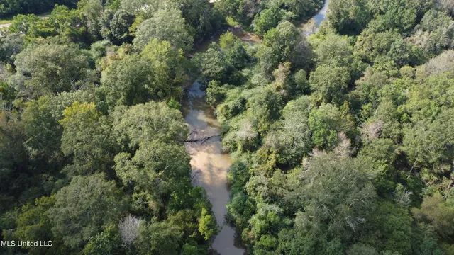 $380,000 | Ms-35, Mount Olive, MS 39119