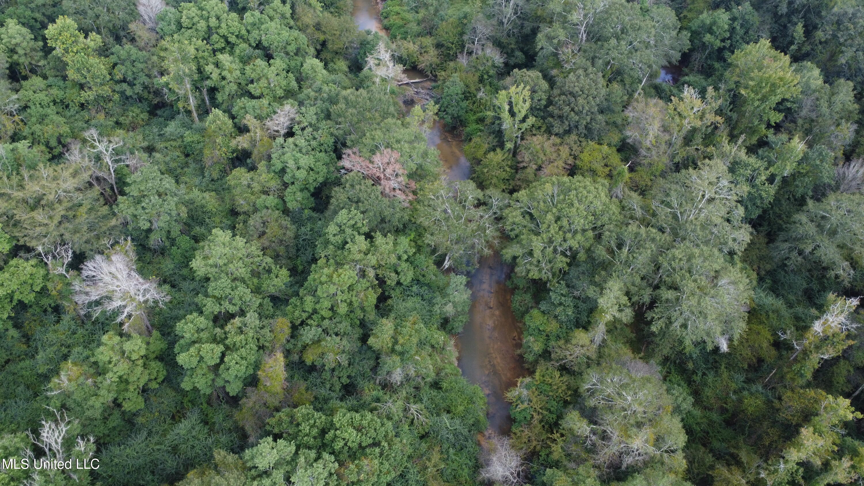 Ms-35 Mount Olive, MS 39119 - Photo 70 of 81 DJI_0521