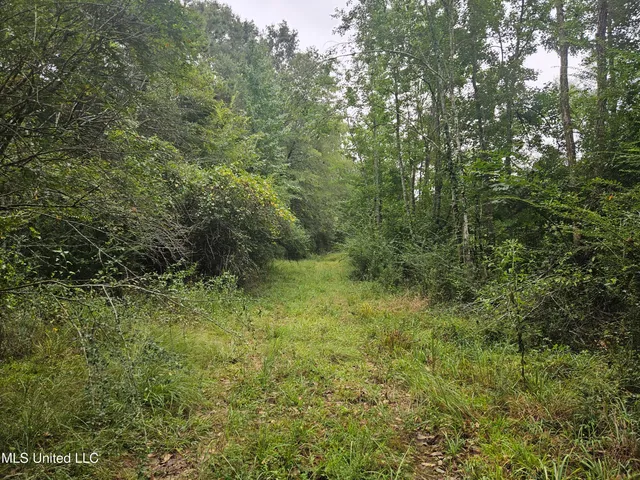 $380,000 | Ms-35, Mount Olive, MS 39119