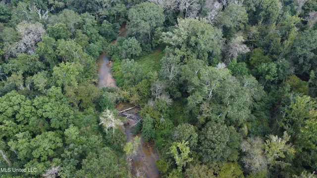$380,000 | Ms-35, Mount Olive, MS 39119