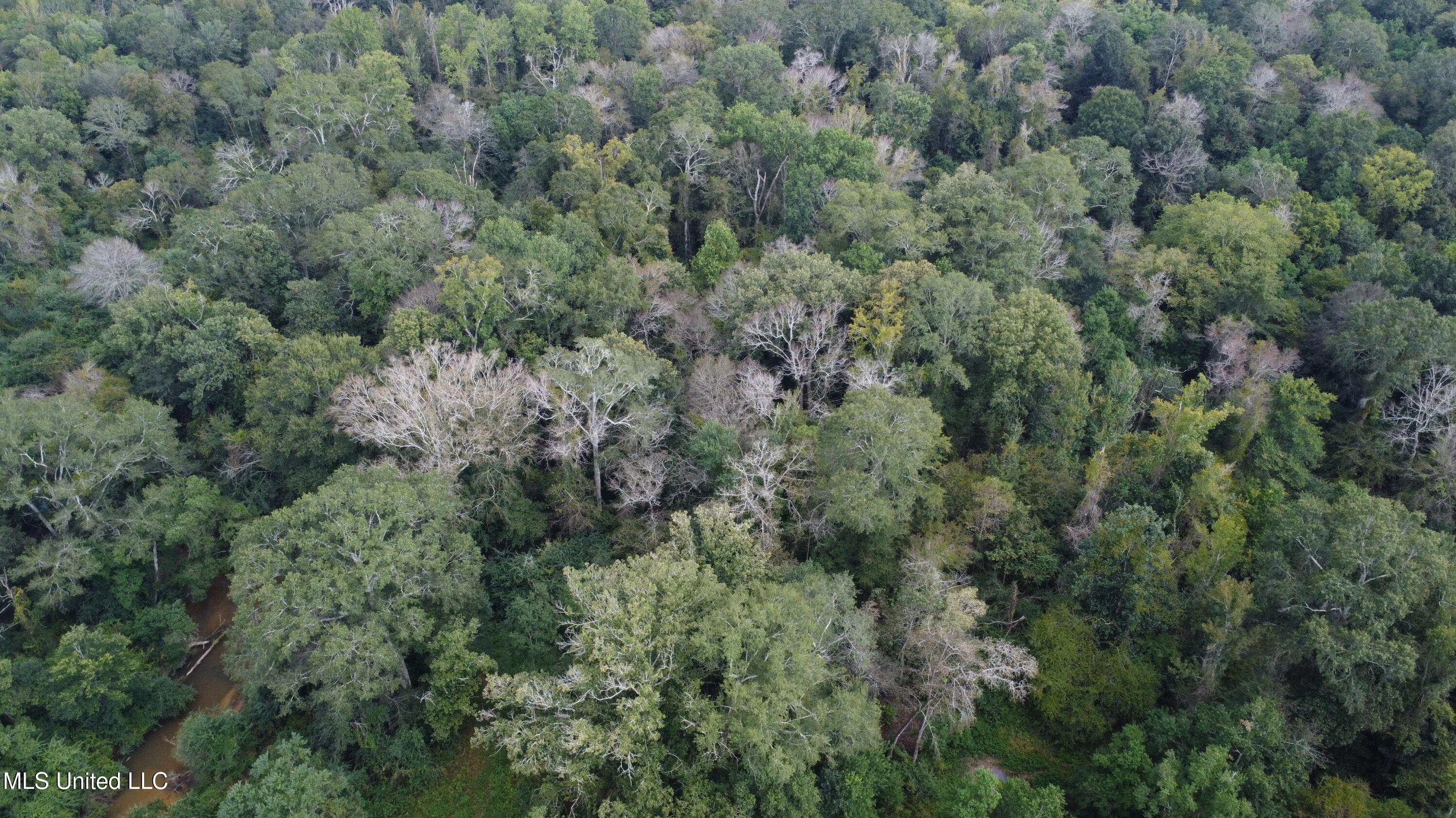 Ms-35 Mount Olive, MS 39119 - Photo 72 of 81 DJI_0523