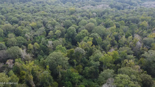 $380,000 | Ms-35, Mount Olive, MS 39119