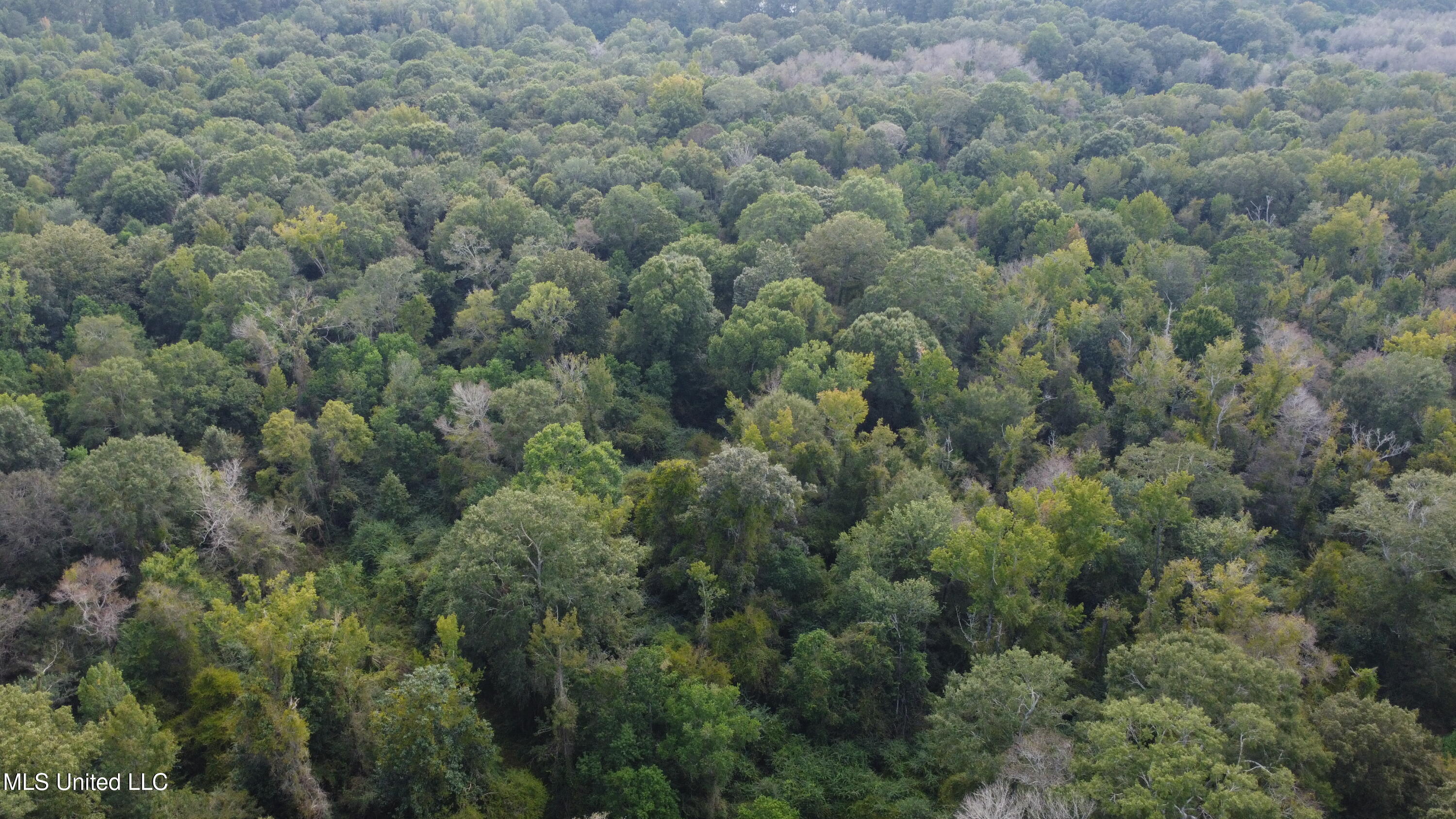 Ms-35 Mount Olive, MS 39119 - Photo 73 of 81 DJI_0524