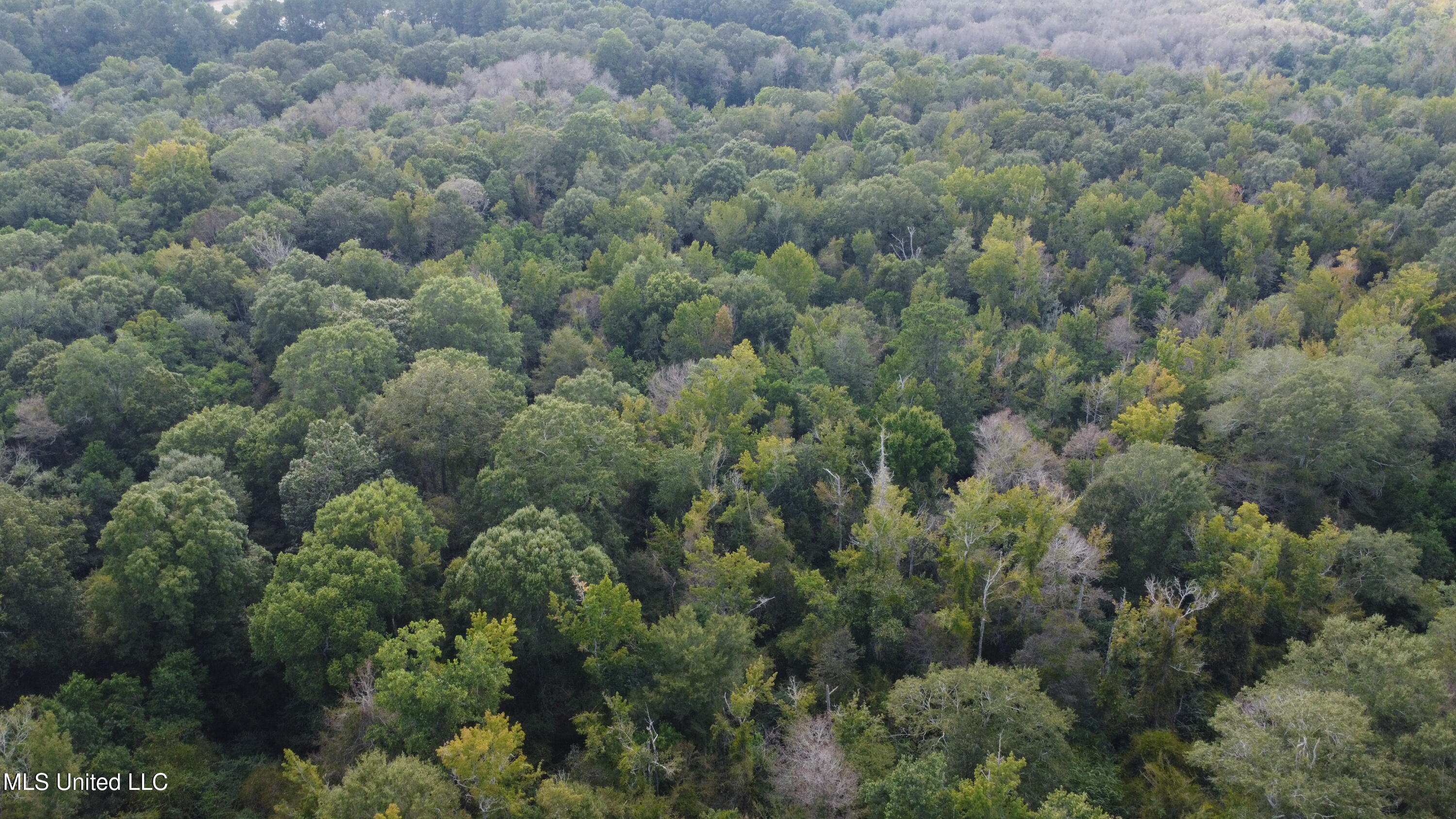 Ms-35 Mount Olive, MS 39119 - Photo 74 of 81 DJI_0525