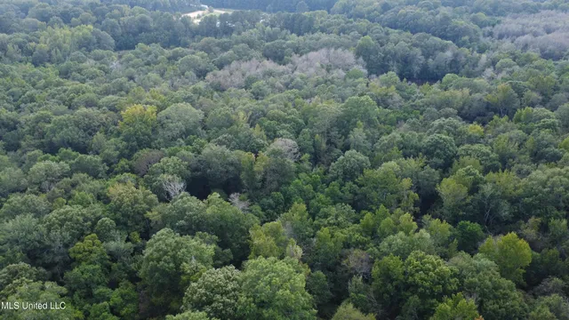 $380,000 | Ms-35, Mount Olive, MS 39119