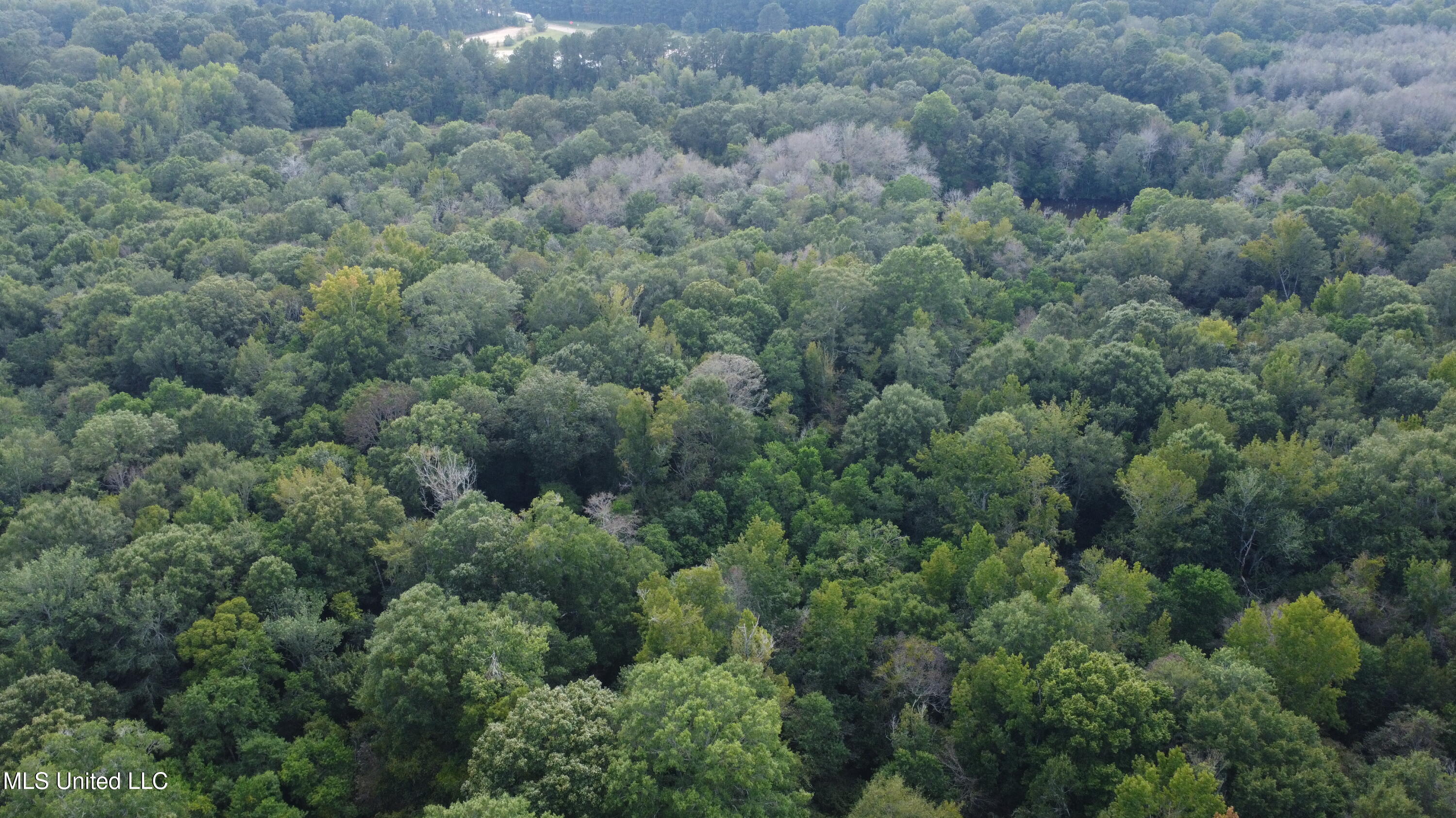 Ms-35 Mount Olive, MS 39119 - Photo 75 of 81 DJI_0526