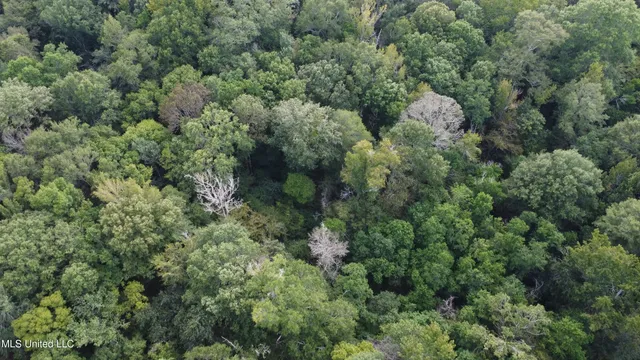 $380,000 | Ms-35, Mount Olive, MS 39119