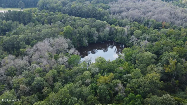 $380,000 | Ms-35, Mount Olive, MS 39119