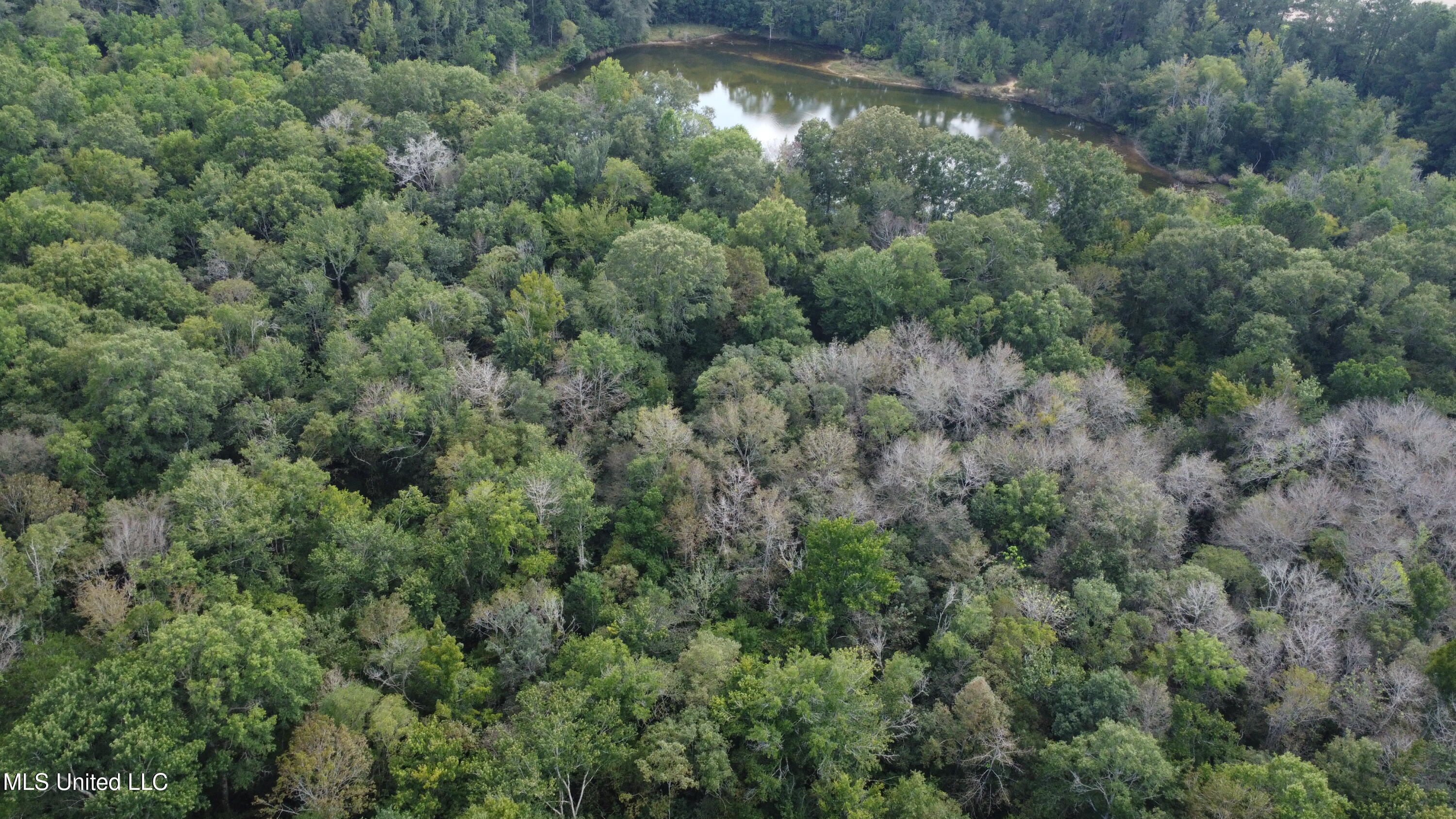 Ms-35 Mount Olive, MS 39119 - Photo 78 of 81 DJI_0529