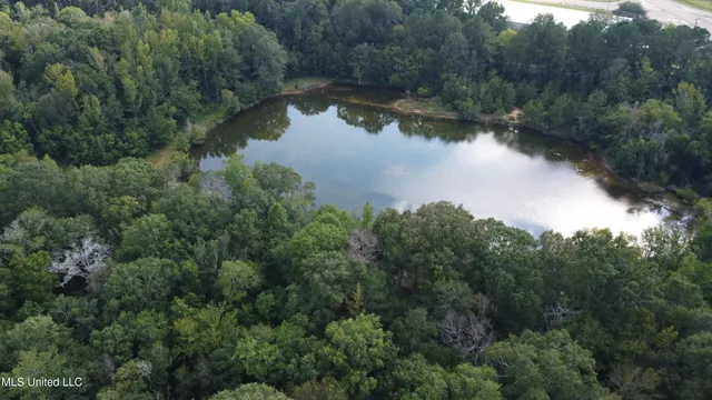 $380,000 | Ms-35, Mount Olive, MS 39119