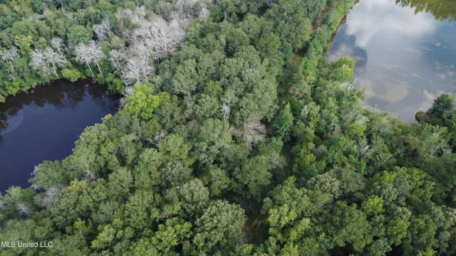 $380,000 | Ms-35, Mount Olive, MS 39119