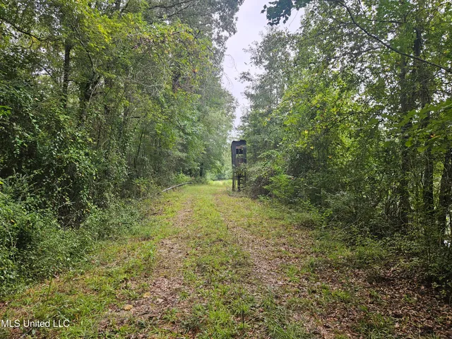 $380,000 | Ms-35, Mount Olive, MS 39119