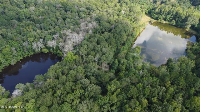 $380,000 | Ms-35, Mount Olive, MS 39119