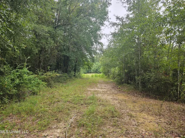 $380,000 | Ms-35, Mount Olive, MS 39119