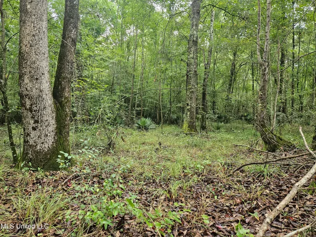 $380,000 | Ms-35, Mount Olive, MS 39119