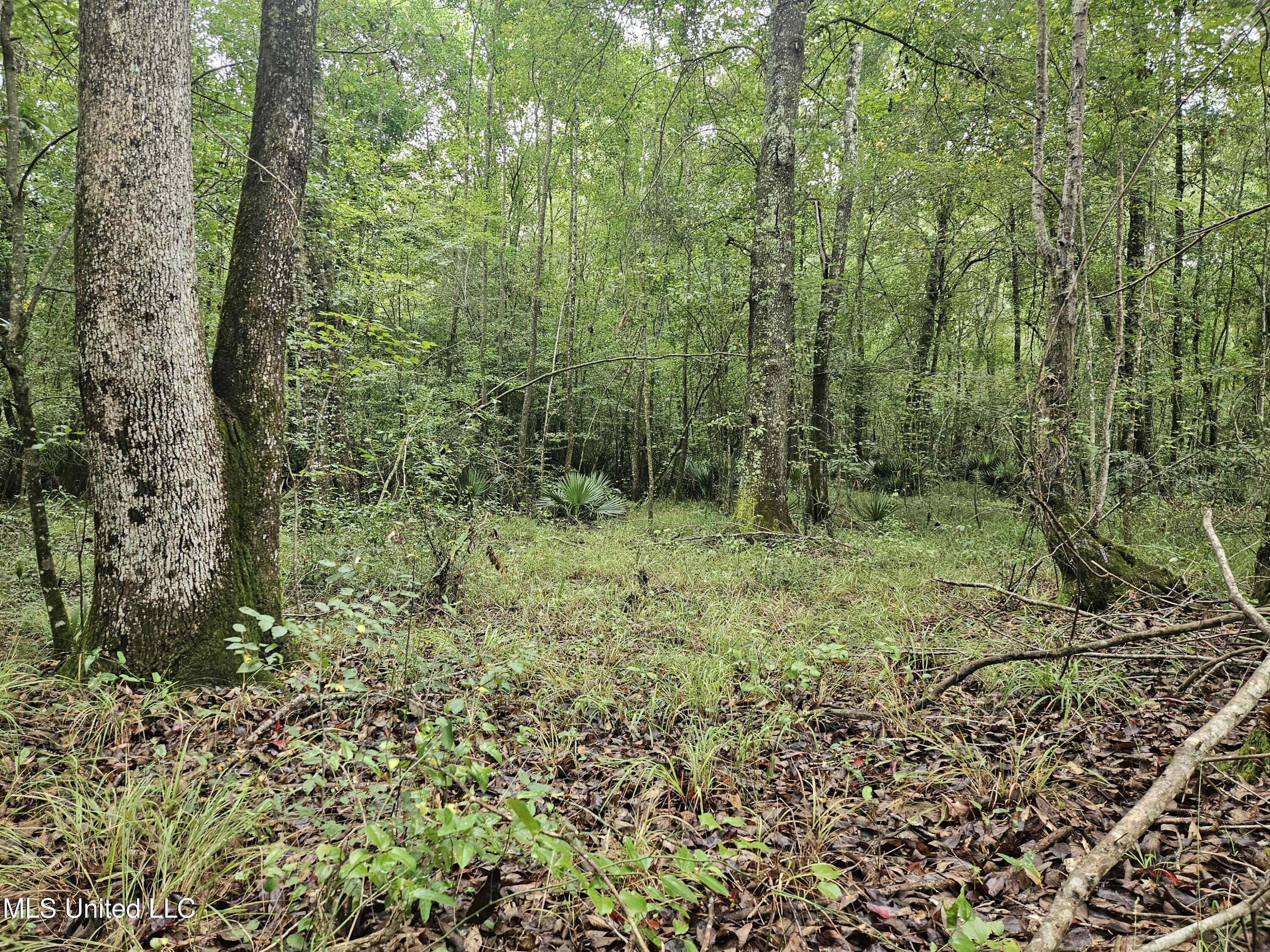 Ms-35 Mount Olive, MS 39119 - Photo 10 of 81 20250830_110009