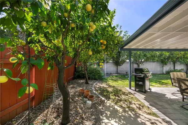 a view of a backyard with potted plants