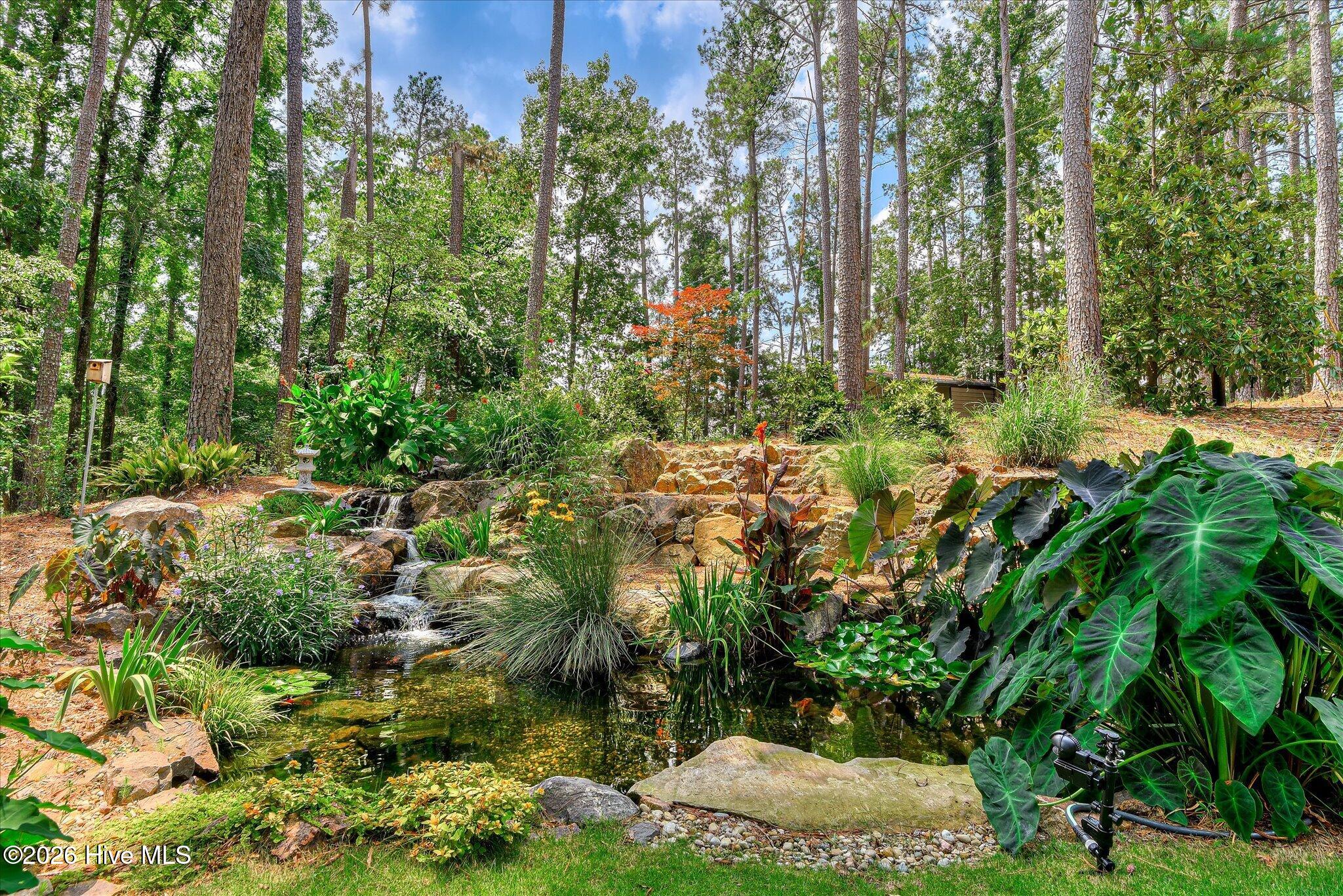 844 Point Comfort Road Martinez, GA 30907 - Photo 6 of 97 Koi Pond w/ 30 Year Old Koi Fish!!