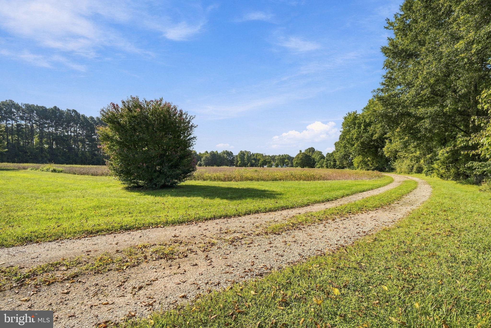Undisclosed Address Ridgely, MD 21660 - Photo 21 of 21 Gallery Image 21