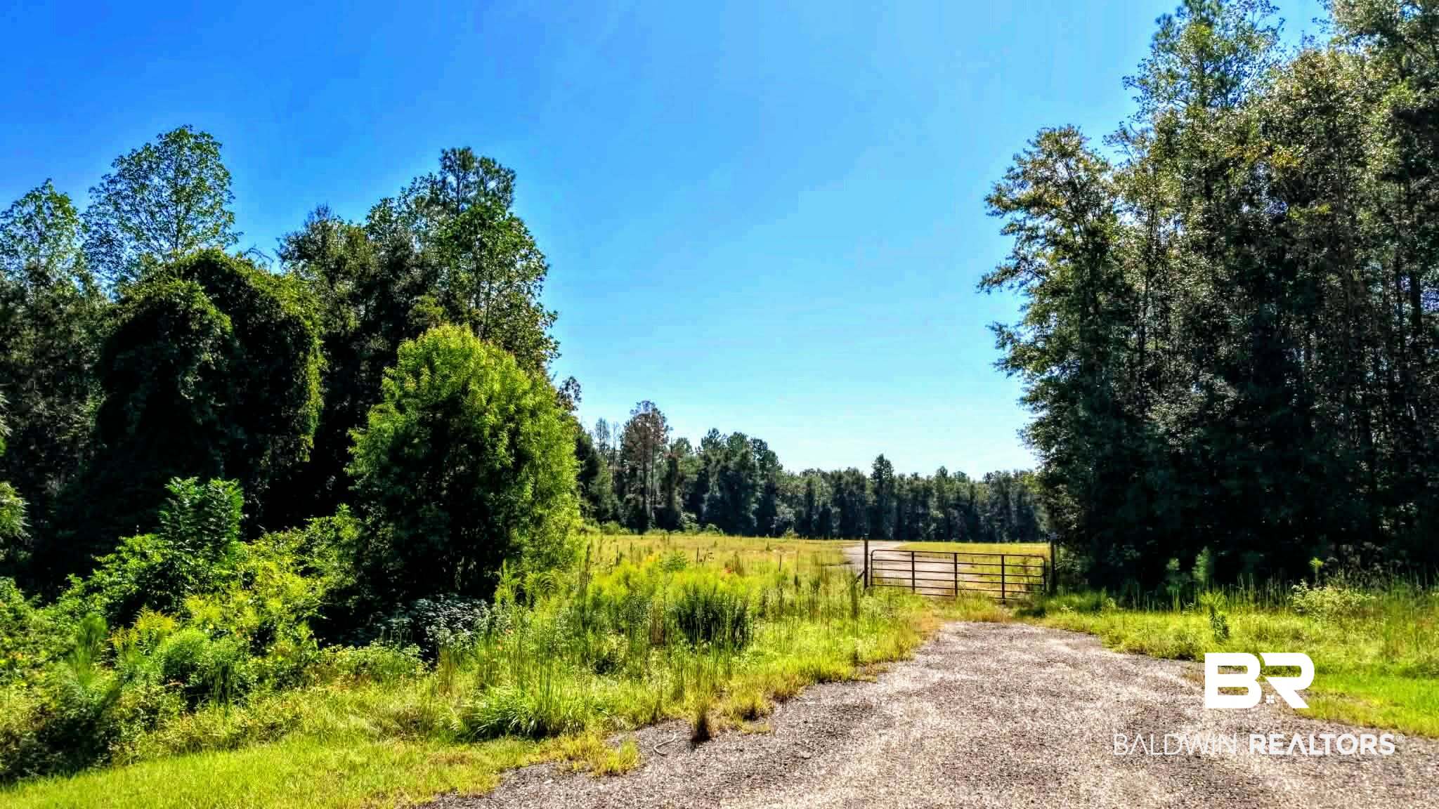 0 Pheasant Road Gilbertown, AL 36908 - Photo 20 of 31 Gallery Image 20