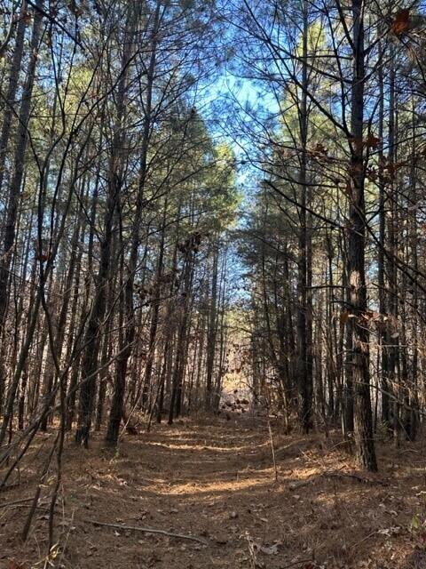 14 Fredonia Road Dunlap, TN 37327 - Photo 1 of 4 Fredonia Lot 14c