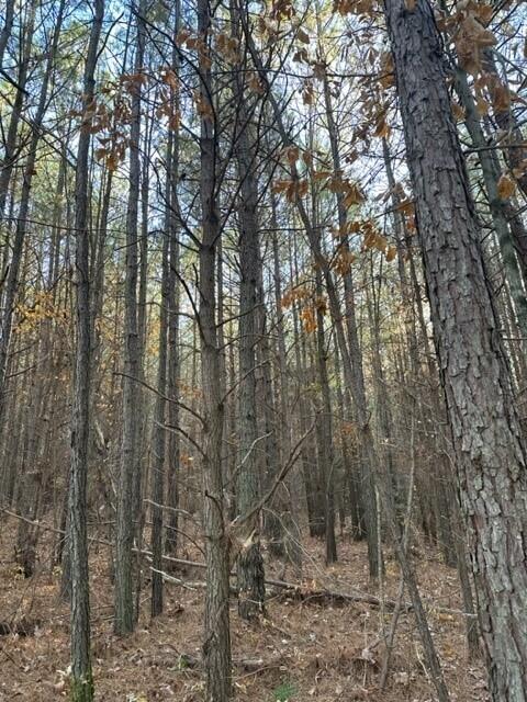 14 Fredonia Road Dunlap, TN 37327 - Photo 2 of 4 Fredonia Lot 14b