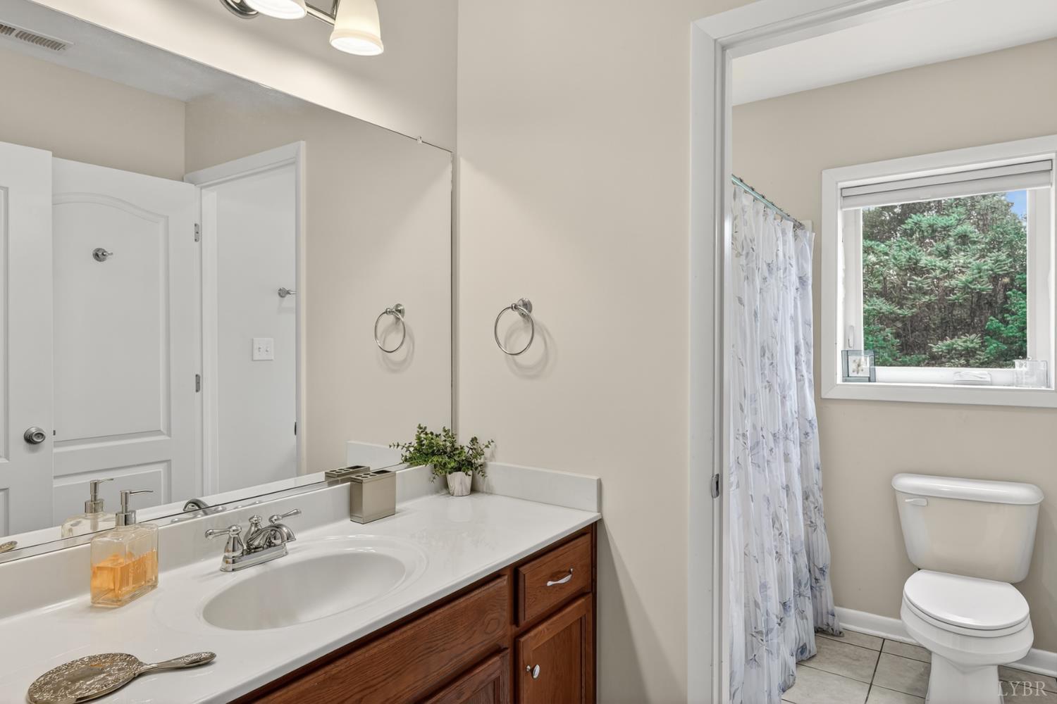 459 Iron Ridge Lane Lynchburg, VA 24501 - Photo 53 of 58