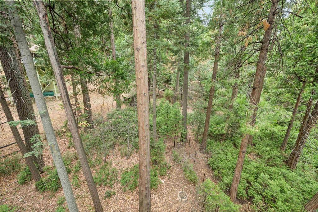 26328 Jacqueline Road Twin Peaks, CA 92391 - Photo 18 of 37 a view of a forest with a tree