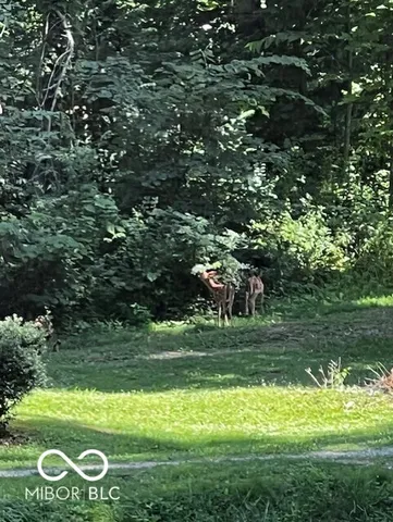 $629,900 | 501 East Jada Lane, Mooresville, IN 46158