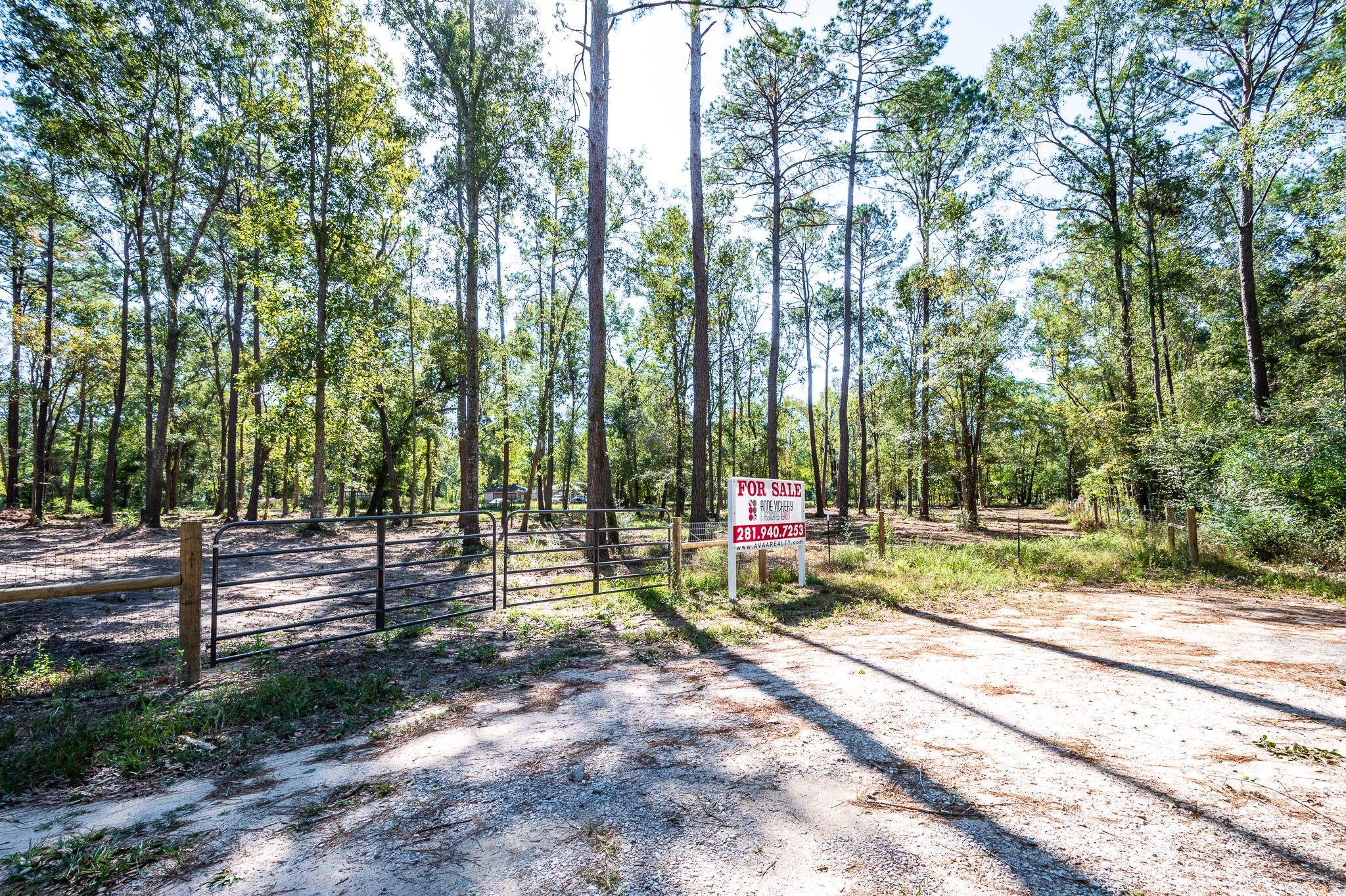 0 Dulaney Street Splendora, TX 77372 - Photo 3 of 9