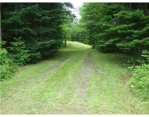1108 North Shore Road Stockholm, ME 04783 - Photo 22 of 25 Land.