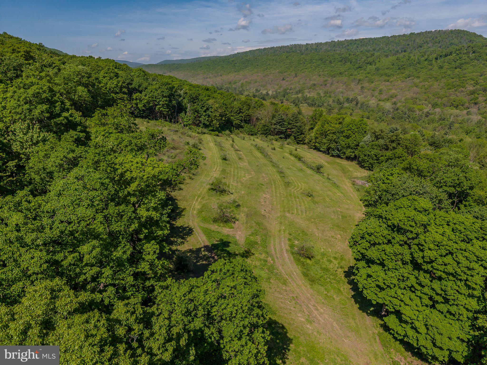 1520 Lingle Valley Road Milroy, PA 17063 - Photo 5 of 144 Lush hillside with scenic vistas.