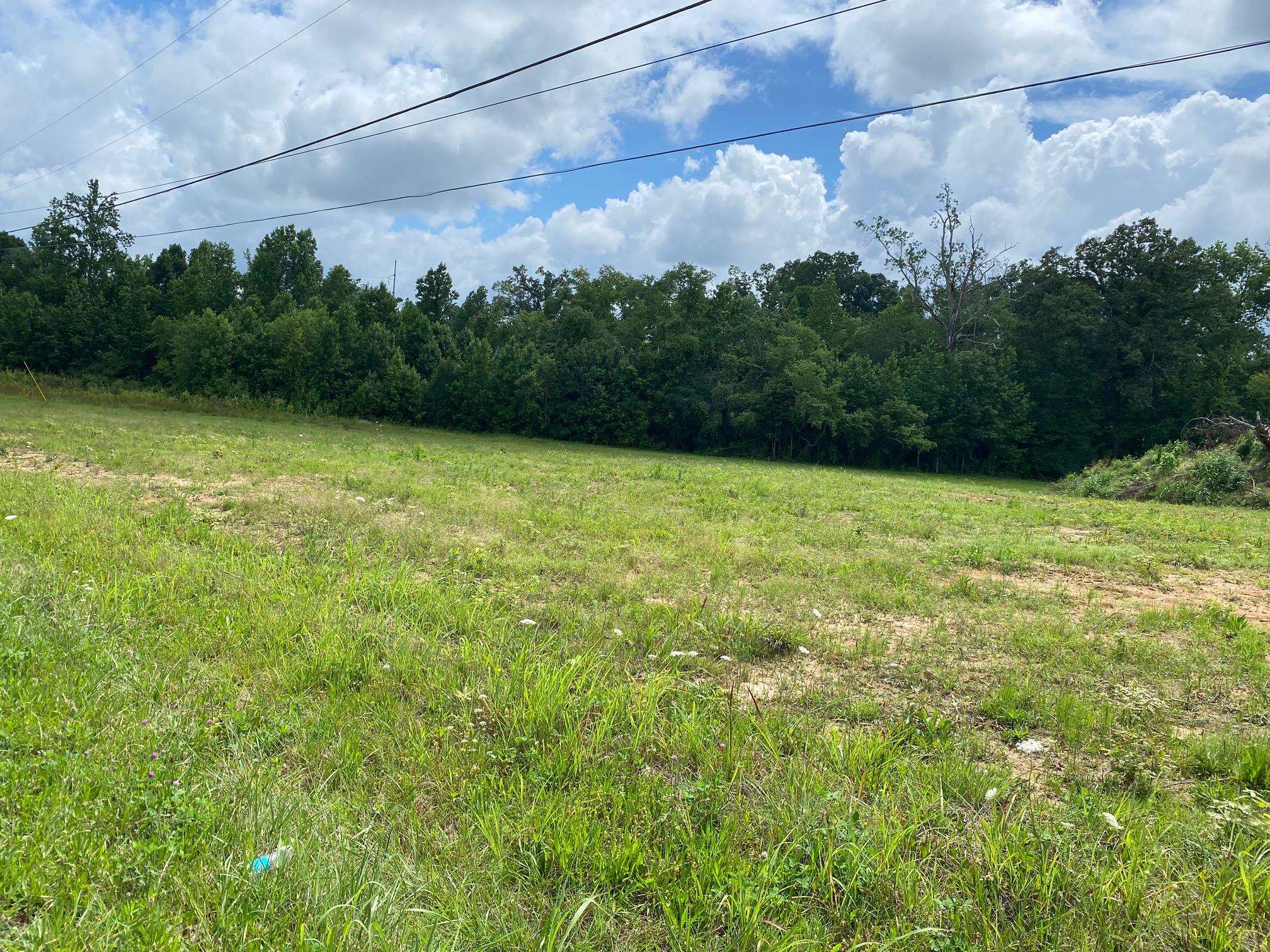 Old Morris Chapel Road Adamsville, TN 38310 - Photo 2 of 13