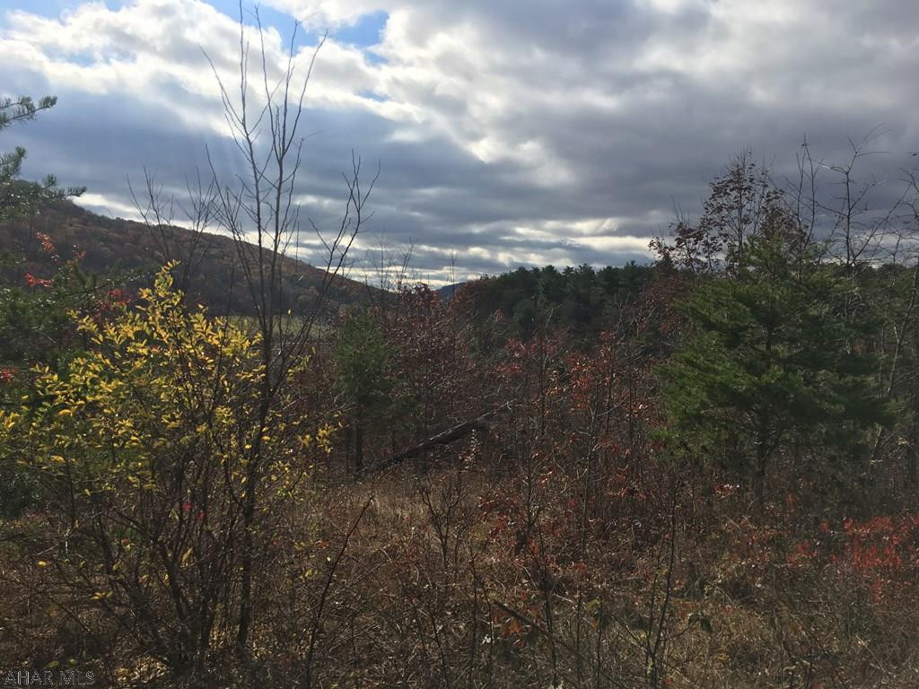 3152 Clear Ridge Road Clearville, PA 15535 - Photo 4 of 11 a view of a yard