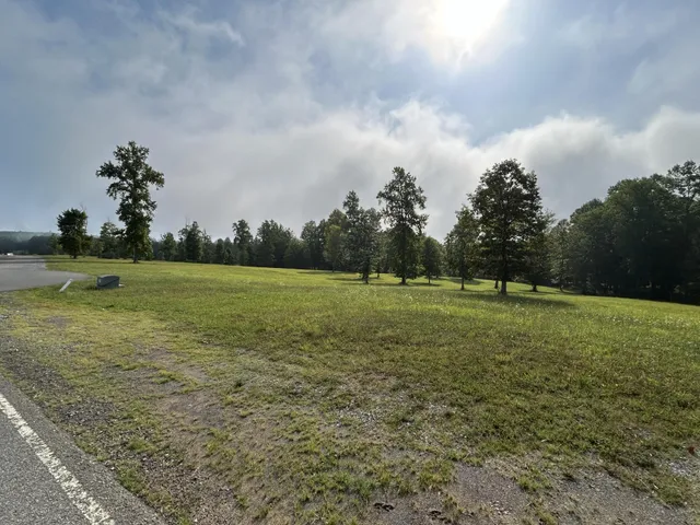 a view of a green field with wooden fence