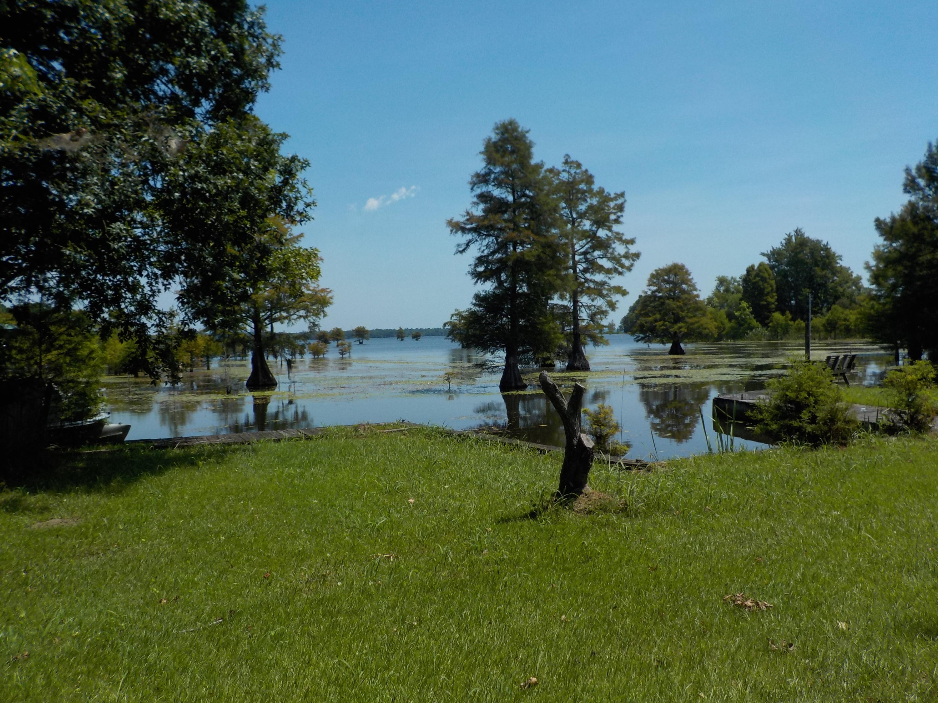 1226 Longpoint Road Cross, SC 29436 - Photo 14 of 21 DSCN0446
