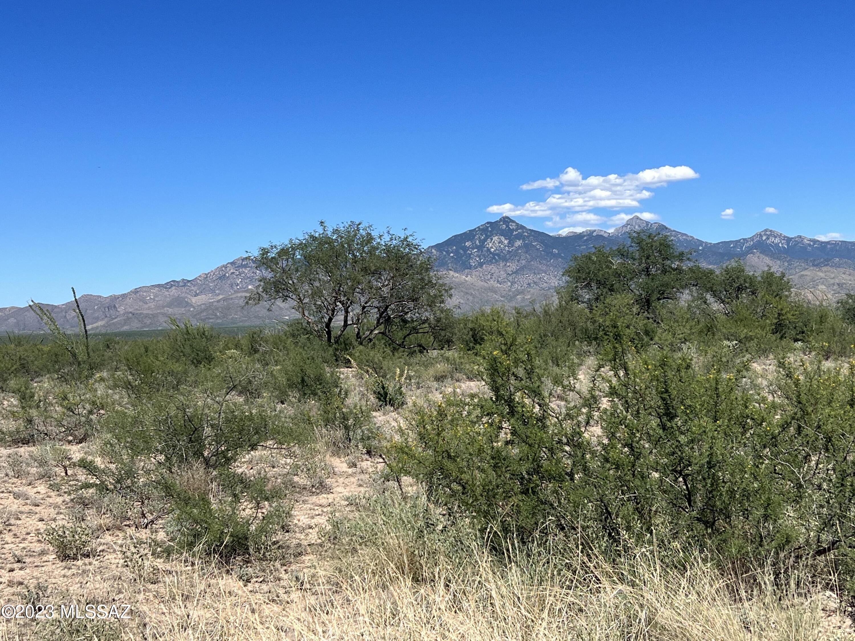 Tbd Camino Nacozari, Unit 71 Rio Rico, AZ 85648 - Photo 6 of 19 Experience Desert Life