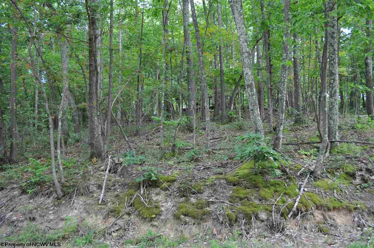 575 Fairview Road Independence, WV 26374 - Photo 12 of 20 Gallery Image 12