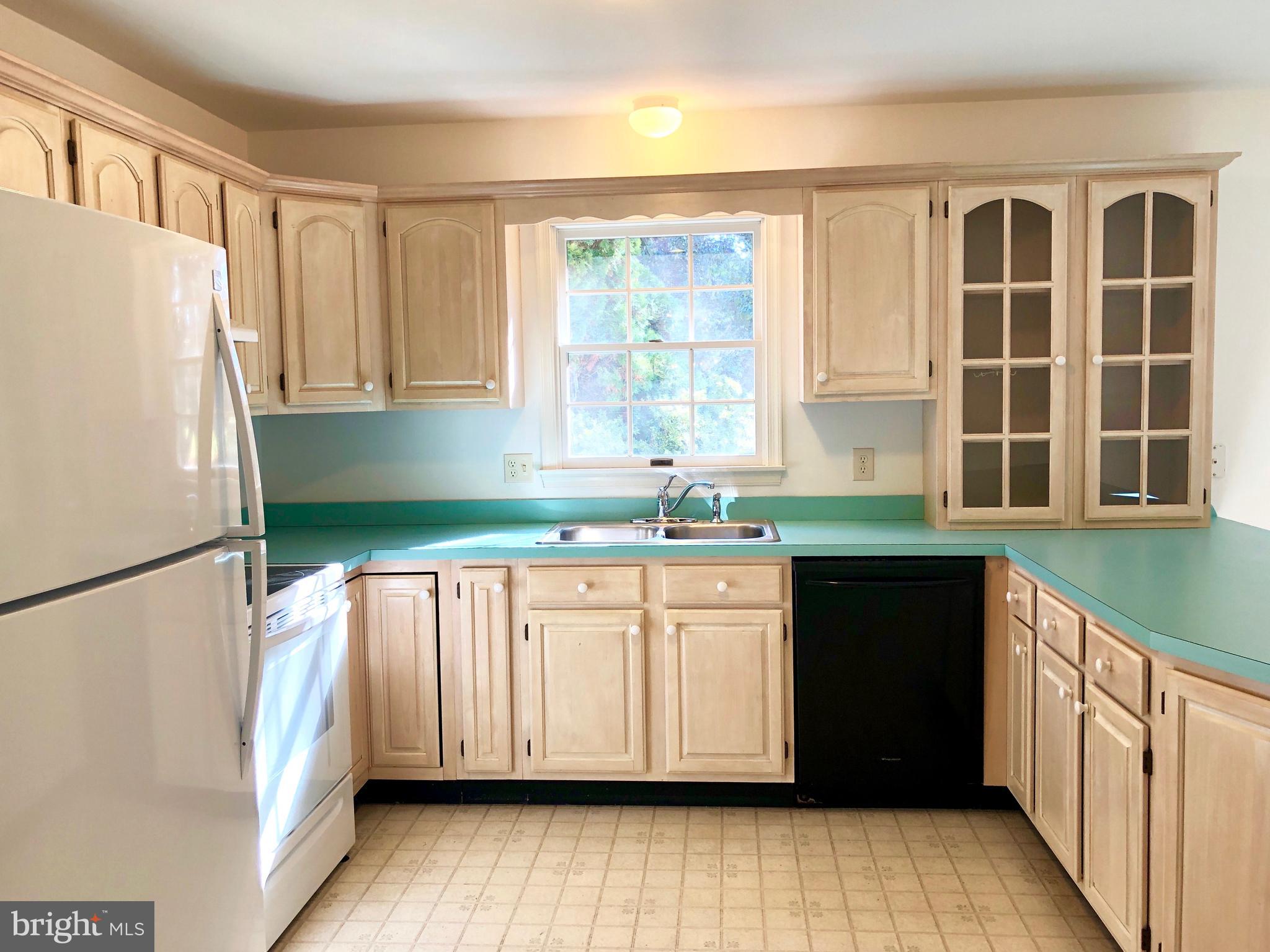 216 Fey Road Chestertown, MD 21620 - Photo 8 of 23 kitchen